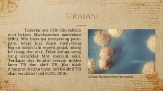 Uraian
Tuberkulosis (TB) disebabkan
oleh bakteri Mycobacterium tuberculosis
(Mbt). Mbt biasanya menyerang paru-
paru, tetapi juga dapat menyerang
bagian tubuh lain seperti ginjal, tulang
belakang, dan otak. Tidak semua orang
yang terinfeksi Mbt menjadi sakit.
Terdapat dua kondisi terkait: infeksi
laten TB dan aktif TB. Jika tidak
ditangani dengan tepat, infeksi aktif TB
akan berakibat fatal (CDC, 2016).
Koloni Mycobacterium tuberculosis
 