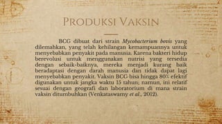 Produksi Vaksin
BCG dibuat dari strain Mycobacterium bovis yang
dilemahkan, yang telah kehilangan kemampuannya untuk
menyebabkan penyakit pada manusia. Karena bakteri hidup
berevolusi untuk menggunakan nutrisi yang tersedia
dengan sebaik-baiknya, mereka menjadi kurang baik
beradaptasi dengan darah manusia dan tidak dapat lagi
menyebabkan penyakit. Vaksin BCG bisa hingga 80% efektif
digunakan untuk jangka waktu 15 tahun; namun, ini relatif
sesuai dengan geografi dan laboratorium di mana strain
vaksin ditumbuhkan (Venkataswamy et al., 2012).
 