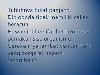 Tubuhnya bulat panjang.Diplopoda tidak memiliki cakar beracun.Hewan ini bersifat herbivora atau pemakan sisa organisme.Gerakannya lambat dengan kaki yang bergerak seperti gelombang.