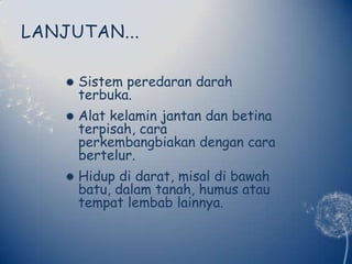 LANJUTAN...Sistemperedarandarahterbuka.Alatkelaminjantandanbetinaterpisah, caraperkembangbiakandengancarabertelur.Hidupdidarat, misaldibawahbatu, dalamtanah, humus atautempatlembablainnya.