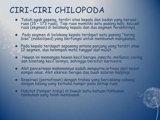 CIRI-CIRI CHILOPODATubuhagakgepeng, terdiriataskepaladanbadan yang beruas-ruas (15 – 173 ruas). Tiapruasmemilikisatupasang kaki, kecualiruas (segmen) dibelakangkepaladanduasegmenterakhirnyaPadasegmendibelakangkepalaterdapatsatupasang “taringbisa” (maksiliped) yang berfungsiuntukmembunuhmangsanya. Padakepalaterdapatsepasangantenapanjang yang terdiriatas 12 segmen, duakelompokmatatunggaldanmulut.Hewaninimemangsahewankecilberupainsecta, mollusca, cacingdanbinatangkecillainnya, sehinggabersifatkarnivoraAlatpencernaanmakanannyasudahsempurnaartinyadarimulutsampai anus. Alateksresiberupaduabuahsaluranmalphigi.Respirasi (pernafasan) dengantrakea yang bercabang-cabangdenganlubang yang terbukahampirpadasetiapruas.Habitat (tempathidup) dibawahbatu-batuan/timbunantumbuhan yang telahmembusuk.