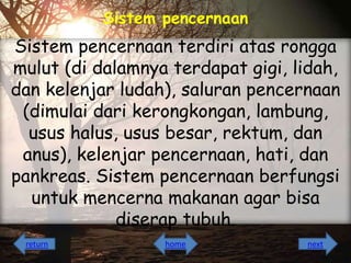 Sistem pencernaan

Sistem pencernaan terdiri atas rongga
mulut (di dalamnya terdapat gigi, lidah,
dan kelenjar ludah), saluran pencernaan
(dimulai dari kerongkongan, lambung,
usus halus, usus besar, rektum, dan
anus), kelenjar pencernaan, hati, dan
pankreas. Sistem pencernaan berfungsi
untuk mencerna makanan agar bisa
diserap tubuh.
return

home

next

 