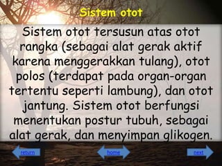 Sistem otot

Sistem otot tersusun atas otot
rangka (sebagai alat gerak aktif
karena menggerakkan tulang), otot
polos (terdapat pada organ-organ
tertentu seperti lambung), dan otot
jantung. Sistem otot berfungsi
menentukan postur tubuh, sebagai
alat gerak, dan menyimpan glikogen.
return

home

next

 