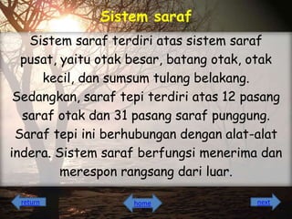 Sistem saraf
Sistem saraf terdiri atas sistem saraf
pusat, yaitu otak besar, batang otak, otak
kecil, dan sumsum tulang belakang.
Sedangkan, saraf tepi terdiri atas 12 pasang
saraf otak dan 31 pasang saraf punggung.
Saraf tepi ini berhubungan dengan alat-alat
indera. Sistem saraf berfungsi menerima dan
merespon rangsang dari luar.
return

home

next

 