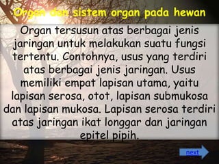 Organ dan sistem organ pada hewan
Organ tersusun atas berbagai jenis
jaringan untuk melakukan suatu fungsi
tertentu. Contohnya, usus yang terdiri
atas berbagai jenis jaringan. Usus
memiliki empat lapisan utama, yaitu
lapisan serosa, otot, lapisan submukosa
dan lapisan mukosa. Lapisan serosa terdiri
atas jaringan ikat longgar dan jaringan
epitel pipih.
next

 