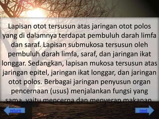 Lapisan otot tersusun atas jaringan otot polos
yang di dalamnya terdapat pembuluh darah limfa
dan saraf. Lapisan submukosa tersusun oleh
pembuluh darah limfa, saraf, dan jaringan ikat
longgar. Sedangkan, lapisan mukosa tersusun atas
jaringan epitel, jaringan ikat longgar, dan jaringan
otot polos. Berbagai jaringan penyusun organ
pencernaan (usus) menjalankan fungsi yang
sama, yaitu mencerna dan menyerap makanan.
return

next

 