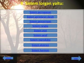 9 Sistem lorgan yaitu:
Sistem pernapasan
Sistem peredaran darah
Sistem pencernaan
Sistem rangka

Sistem otot
Sistem saraf
Sistem reproduksi
Sistem ekskresi
Sistem hormon
return

next

 