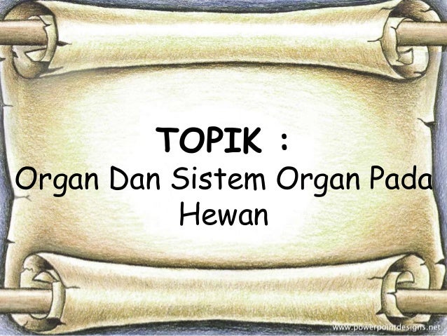 Organ Pada Hewan