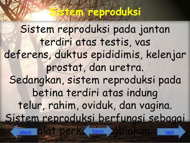 ORGAN PADA HEWAN ORGAN PADA HEWAN