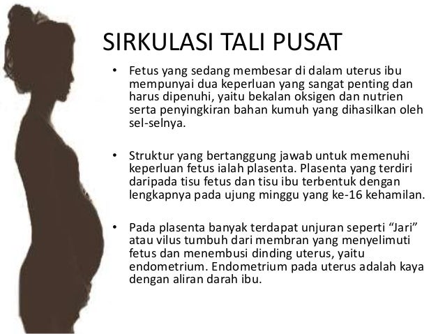 Struktur Fungsi Amnion, Plasenta dan Tali Pusat