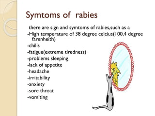Sore Rabies Rabies | PPTX