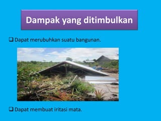 Dapat merubuhkan suatu bangunan.
Dapat membuat iritasi mata.
Dampak yang ditimbulkan
 