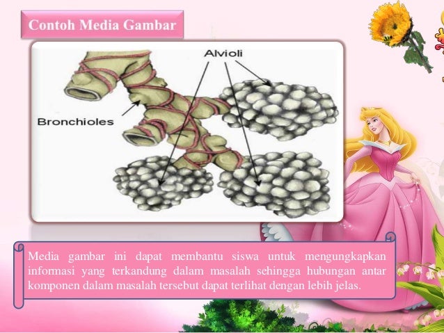 MACAM - MACAM MEDIA PEMBELAJARAN