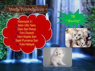 Media Pembelajaran
TK
“ Kucing”Kelompok 5 :
Astin Ulfa Yana
Desi Sari Rotua
Feni Dwianti
Heni Nopita Sari
Septi Purnama Sari
Yulia Hidayat
 