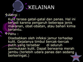 KELAINAN
 Alergi :
  Kulit terasa gatal-gatal dan panas. Hal ini
  terjadi karena pengaruh beberapa jenis
  makanan, obat-obatan, atau bahan kimia
  tertentu.
 Panu :
  Disebabkan oleh infeksi jamur terhadap
  kulit. Gejalanya timbul bercak-bercak
  putih yang tersebar      di seluruh
  permukaan kulit. Dapat berwarna merah
  jambu (terlebih udara panas dan sedang
  berkeringat.)                            BACK
 