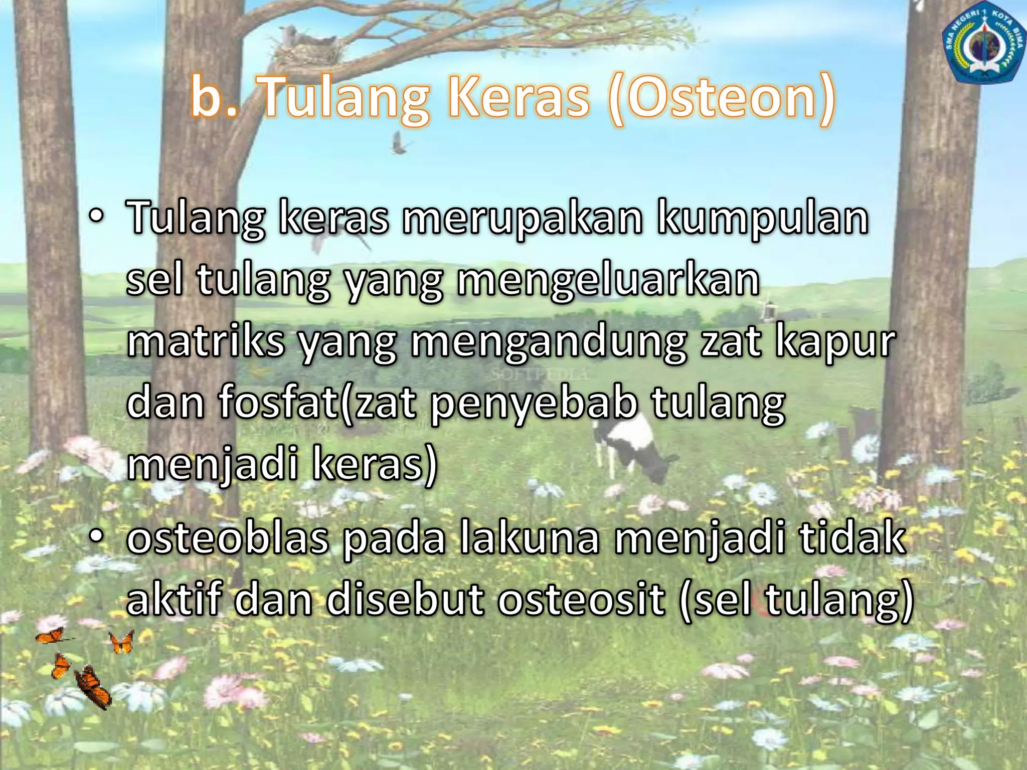 a. Tulang RawanTulangrawanterdiriatassel-seltulangrawan yangdisebutkondroblas.Sel-selinimengeluarkanmatriks yangdisebutkondrin.Lama-kelamaankondroblasakanterkurungolehmatriksnyasendiridalamruangan yang disebutlakuna.