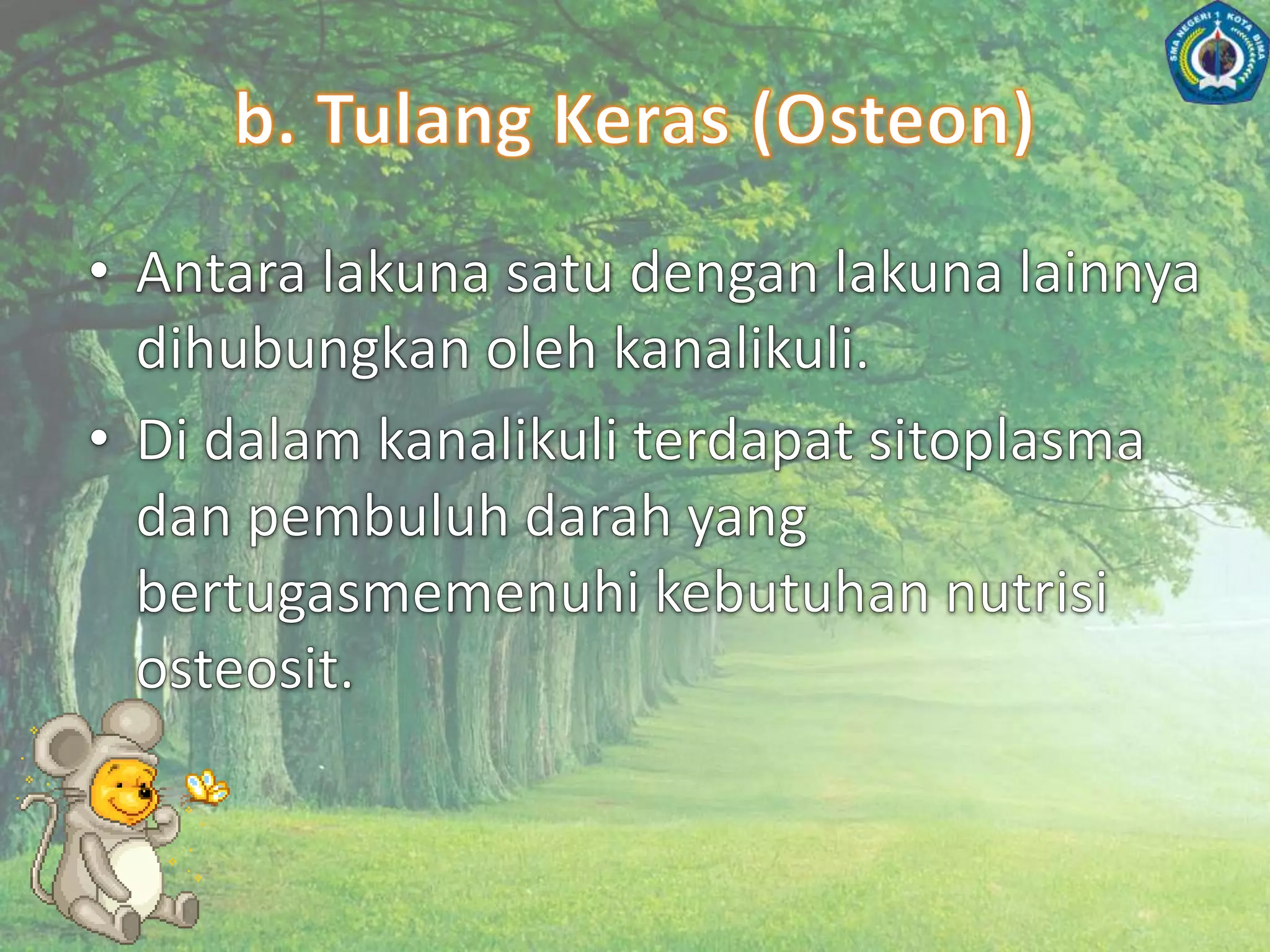 a. Tulang RawanDi dalamlakunaterdapatkondroblas yang bersifattidakaktifdisebutkondrosit (seltulangrawan).Matrikspadatulangrawanumumnyaberupahialin yang homogendanjernih.Matriks yang berserabutlebihbanyakmengandungzatkolagen (zatperekattulang).