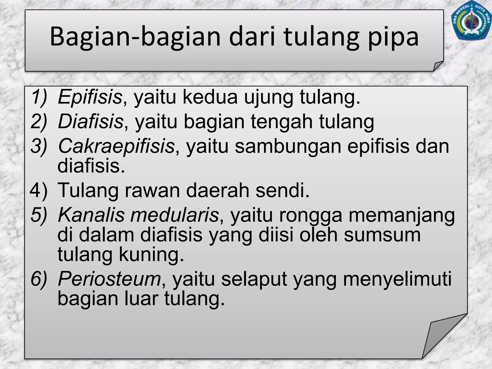 2.B. Matriks TulangBerdasarkanmatrikspenyusunnya, tulangdibedakanmenjadi2,yaitu :a. TulangKompakb. TulanSpons