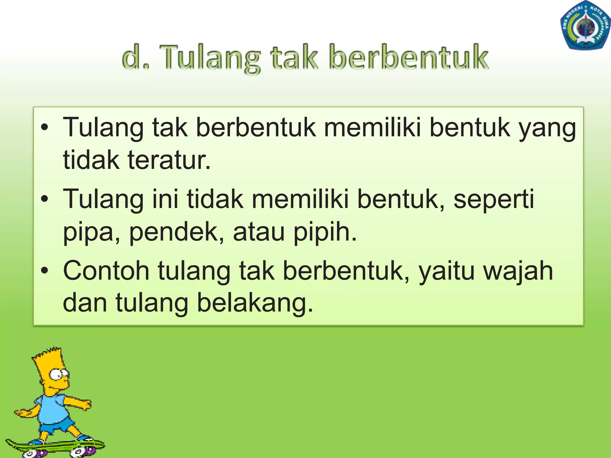 2.C. Bentuk TulangBerdasarkanbentuknya, tulangdibedakanmenjadi4, yaitu:Tulang PipaTulang PipihTulang PendekTulang Tak Berbentuk