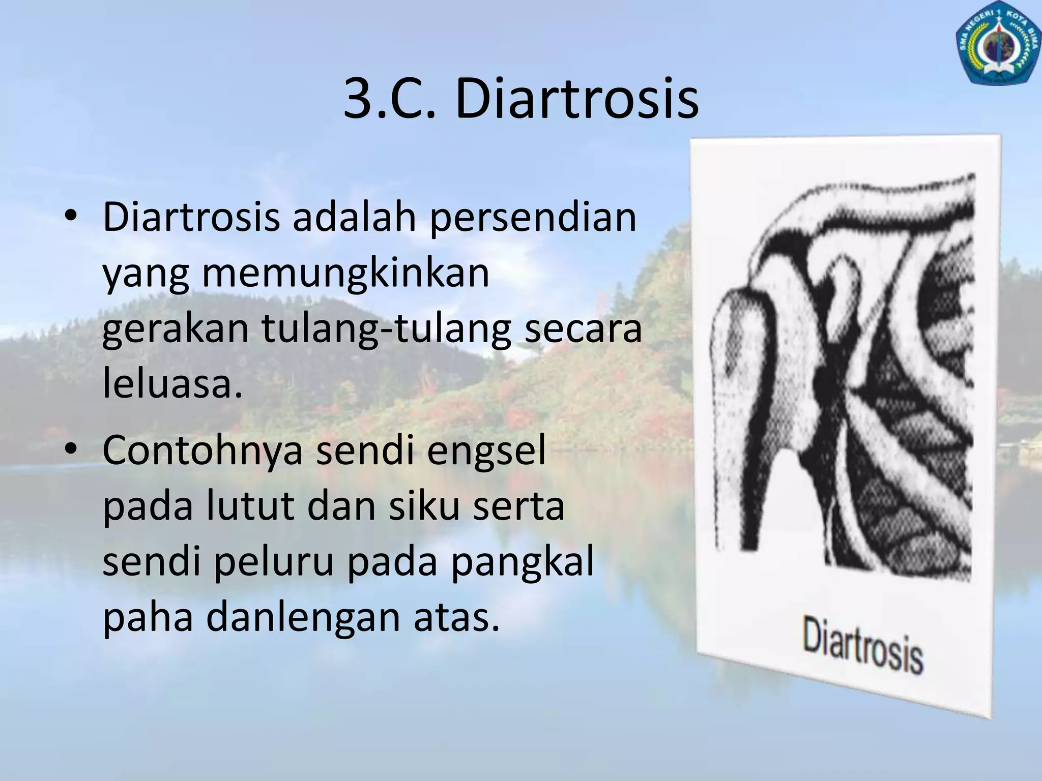 B. Tulang PipihTulang pipih mempunyai ciri-ciri:Berbentukpipihatau tipis.Di dalamnyaberisisumsummerah, tempatpembuatanseldarahmerahdanseldarahputih.Contoh: tulangtengkorak,tulangrusuk, tulang dada, dantulangbelikat.