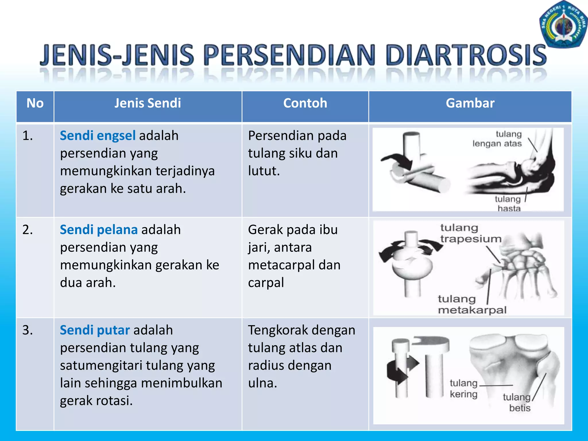 c. Tulang PendekTulang pipih mempunyai ciri-ciri :Bentukpendekdanbulat.Di dalamnyaberisisumsummerah, tempatpembuatanseldarahmerahdanseldarahputih.Contoh: ruas-ruas tulang belakang, tulang pergelangan tangan, danpergelangankaki.