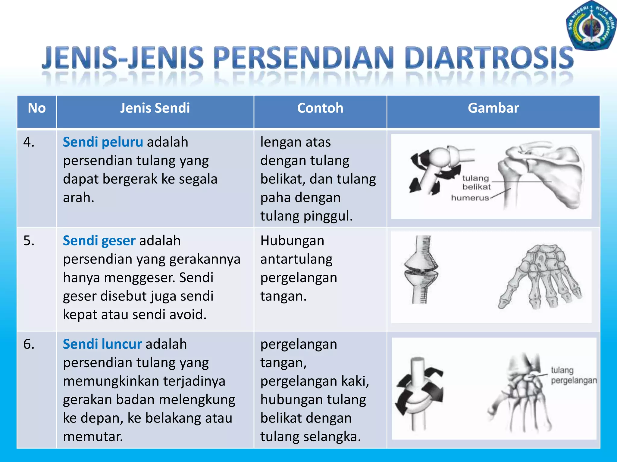 d. TulangtakberbentukTulangtakberbentukmemilikibentuk yang tidakteratur.Tulanginitidakmemilikibentuk, sepertipipa, pendek, ataupipih. Contohtulangtakberbentuk, yaituwajahdantulangbelakang.