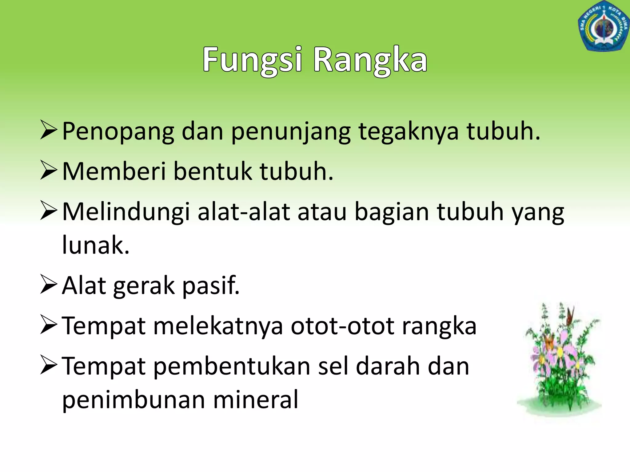 Kerangka dapat terdiri atas zat organik khusus, seperti kitin dan kolagen, atau kompleks zat organik dan anorganik.Macam-macamRangka TubuhRangkahidrostatik