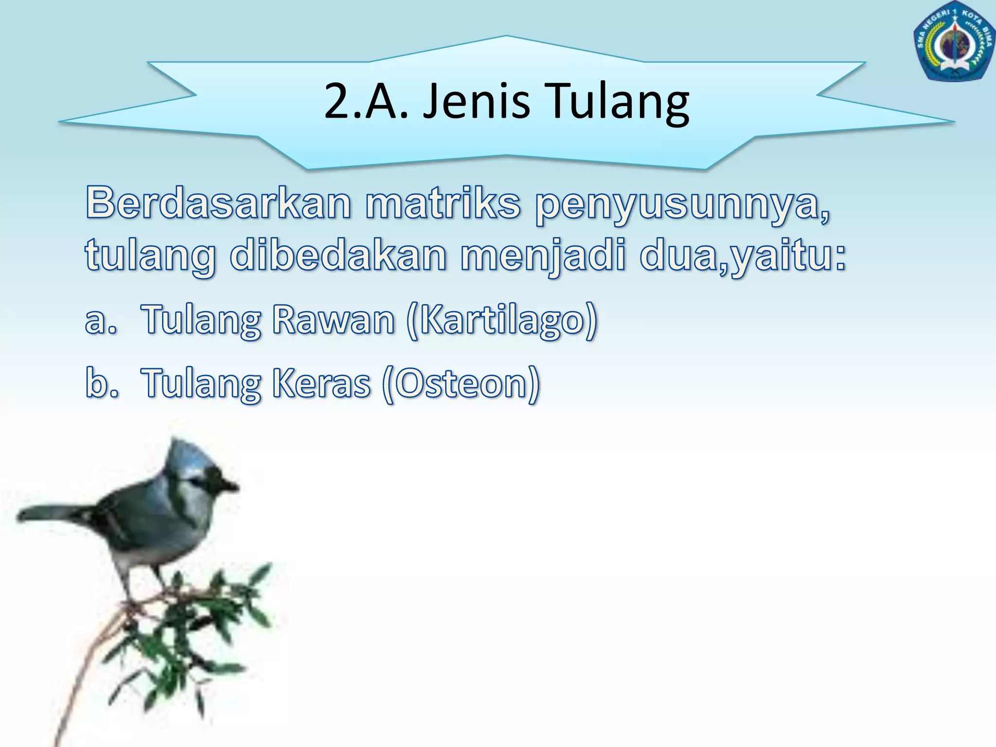 Rangkadalam (endoskeleton)Fungsi RangkaPenopangdanpenunjangtegaknyatubuh.