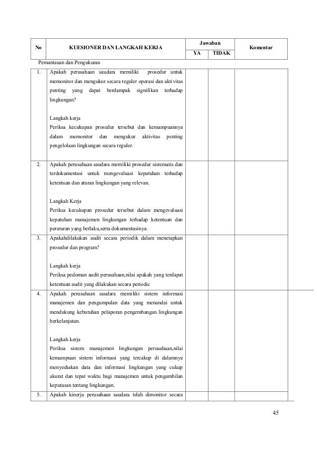 Contoh Program Kerja Audit Kinerja
