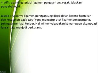 4. Alfi : apa yang terjadi ligamen penggantung rusak, jelaskan 
penyebabnya? 
Jawab : rusaknya ligamen penggantung disebabkan karena hentakan 
dan kesalahan pada saraf yang mengatur otot ligamenpenggantung, 
sehingga menjadi kendur. Hal ini menyebabakan kemampuan akomodasi 
lensa mata menjadi berkurang. 
 