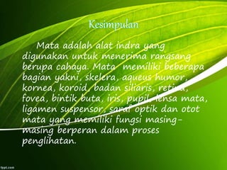 Mata adalah alat indra yang 
digunakan untuk menerima rangsang 
berupa cahaya. Mata memiliki beberapa 
bagian yakni, skelera, aqueus humor, 
kornea, koroid, badan siliaris, retina, 
fovea, bintik buta, iris, pupil, lensa mata, 
ligamen suspensor, saraf optik dan otot 
mata yang memiliki fungsi masing-masing 
berperan dalam proses 
penglihatan. 
 