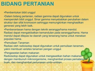 BIDANG PERTANIAN 
•Pembentukan bibit unggul 
•Dalam bidang pertanian, radiasi gamma dapat digunakan untuk 
memperoleh bibit unggul. Sinar gamma menyebabkan perubahan dalam 
struktur dan sifat kromosom sehingga memungkinkan menghasilkan 
generasi yang lebih baik. 
•Pemberantasan hama dengan teknik serangga/hama mandul. 
Radiasi dapat mengakibatkan kemandulan pada serangga/hama. Hama 
mandul dapat dilepas ke daerah yang terserang hama untuk menekan 
populasi hama. 
•Pemuliaan Tanaman 
Radiasi oleh radioisotop dapat digunakan untuk pemuliaan tanaman, 
yakni membuat varietes tanaman pangan unggul. 
•Pengawetan bahan makanan 
Radioisotop dapat digunakan untuk mengawetkan bahan makanan 
dengan membunuh mikroorganisme, menghambat proses pematangan 
buah, dan menghambat pertunasan umbi-umbian. 
 