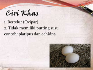 1. Bertelur (Ovipar)
2. Tidak memiliki putting susu
contoh: platipus dan echidna

 