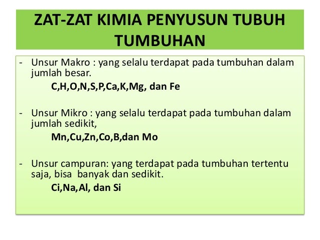 Gerak Tumbuhan Tingkat Rendah