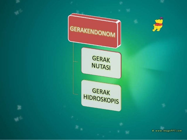 Gerak Tumbuhan Tingkat Rendah