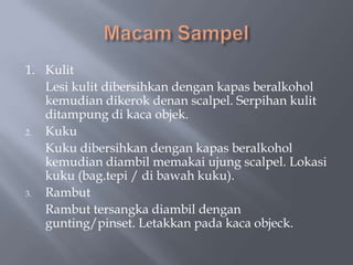 1. Kulit
   Lesi kulit dibersihkan dengan kapas beralkohol
   kemudian dikerok denan scalpel. Serpihan kulit
   ditampung di kaca objek.
2. Kuku
   Kuku dibersihkan dengan kapas beralkohol
   kemudian diambil memakai ujung scalpel. Lokasi
   kuku (bag.tepi / di bawah kuku).
3. Rambut
   Rambut tersangka diambil dengan
   gunting/pinset. Letakkan pada kaca objeck.
 