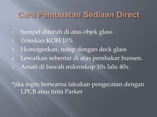 1.   Sampel ditaruh di atas objek glass
2.   Teteskan KOH 10%
3.   Homogenkan, tutup dengan deck glass
4.   Lewatkan sebentar di atas pembakar bunsen.
5.   Amati di bawah mikroskop 10x lalu 40x.

*jika ingin berwarna lakukan pengecatan dengan
    LPCB atau tinta Parker
 