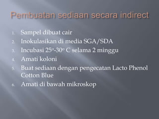 1.   Sampel dibuat cair
2.   Inokulasikan di media SGA/SDA
3.   Incubasi 25o-30o C selama 2 minggu
4.   Amati koloni
5.   Buat sediaan dengan pengecatan Lacto Phenol
     Cotton Blue
6.   Amati di bawah mikroskop
 