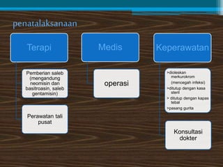 penatalaksanaan 
Terapi 
Pemberian saleb 
(mengandung 
neomisin dan 
basitroasin, saleb 
gentamisin) 
Perawatan tali 
pusat 
Medis 
operasi 
Keperawatan 
>dioleskan 
merkurokrom 
(mencegah infeksi) 
>ditutup dengan kasa 
steril 
> ditutup dengan kapas 
tebal 
>pasang gurita 
Konsultasi 
dokter 
 