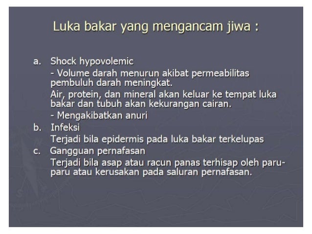 Fisiologi sistem integumen - Unija.com