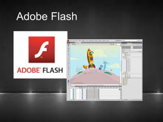 Adobe Flash 
 