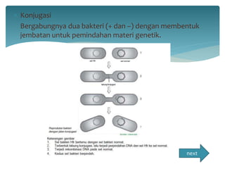  Konjugasi 
Bergabungnya dua bakteri (+ dan –) dengan membentuk 
jembatan untuk pemindahan materi genetik. 
next 
 