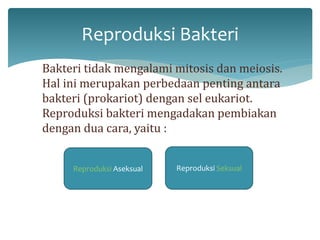 Reproduksi Bakteri 
Bakteri tidak mengalami mitosis dan meiosis. 
Hal ini merupakan perbedaan penting antara 
bakteri (prokariot) dengan sel eukariot. 
Reproduksi bakteri mengadakan pembiakan 
dengan dua cara, yaitu : 
Reproduksi Aseksual Reproduksi Seksual 
 