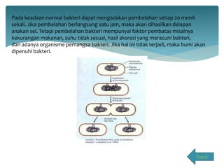 Pada keadaan normal bakteri dapat mengadakan pembelahan setiap 20 menit 
sekali. Jika pembelahan berlangsung satu jam, maka akan dihasilkan delapan 
anakan sel. Tetapi pembelahan bakteri mempunyai faktor pembatas misalnya 
kekurangan makanan, suhu tidak sesuai, hasil eksresi yang meracuni bakteri, 
dan adanya organisme pemangsa bakteri. Jika hal ini tidak terjadi, maka bumi akan 
dipenuhi bakteri. 
back 
 