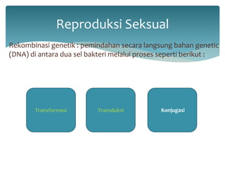 Reproduksi Seksual 
Rekombinasi genetik : pemindahan secara langsung bahan genetic 
(DNA) di antara dua sel bakteri melalui proses seperti berikut : 
Transformasi Transduksi Konjugasi 
 