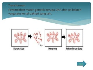  Transformasi 
Perpindahan materi genetik berupa DNA dari sel bakteri 
yang satu ke sel bakteri yang lain. 
next 
 