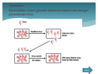  Transduksi 
Pemindahan materi genetik bakteri ke bakteri lain dengan 
perantaraan virus. 
next 
 