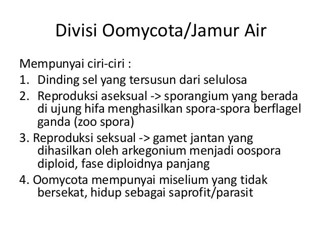 Fungi Jamur Oomycota