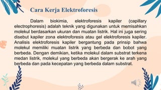 Cara Kerja Elektroforesis
Dalam biokimia, elektroforesis kapiler (capillary
electrophoresis) adalah teknik yang digunakan untuk memisahkan
molekul berdasarkan ukuran dan muatan listrik. Hal ini juga sering
disebut kapiler zona elektroforesis atau gel elektroforesis kapiler.
Analisis elektroforesis kapiler bergantung pada prinsip bahwa
molekul memiliki muatan listrik yang berbeda dan bobot yang
berbeda. Dengan demikian, ketika molekul dalam substrat terkena
medan listrik, molekul yang berbeda akan bergerak ke arah yang
berbeda dan pada kecepatan yang berbeda dalam substrat.
 