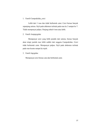 1. Famili Campodeidae_cerci

       Lebih dari 1 ruas dan tidak berbentuk catut. Cerci beruas banyak
sepanjang antena. Styli pada abdomen terletak pada ruas ke 2 sampai ke 7.
Tidak mempunyai palpus. Panjang tubuh 4 mm atau lebih.

2. Famili Anajapygidae

       Mempunyai sersi yang lebih pendek dari antena, beruas banyak
akan tetapi jumlah ruas lebih sedikit dari anggota Campodeidae. Cerci
tidak berbentuk catut. Mempunyai palpus. Styli pada abdomen terletak
pada ruas kesatu sampai ke tujuh.

3. Famili Japygidae

   Mempunyai cerci beruas satu dan berbentuk catut.




                                                                      17
 